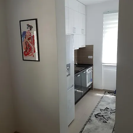Apartment Kosmos